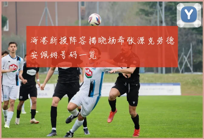海港新援阵容揭晓杨希张源克劳德安佩姆号码一览