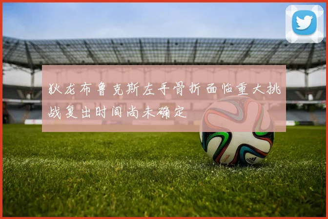 狄龙布鲁克斯左手骨折面临重大挑战复出时间尚未确定