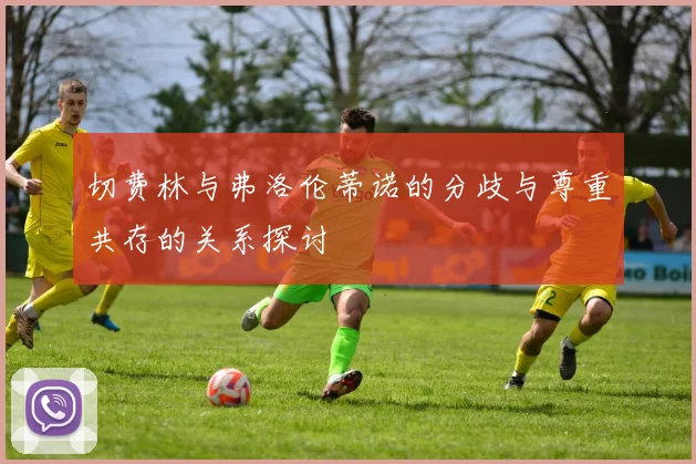 切费林与弗洛伦蒂诺的分歧与尊重共存的关系探讨